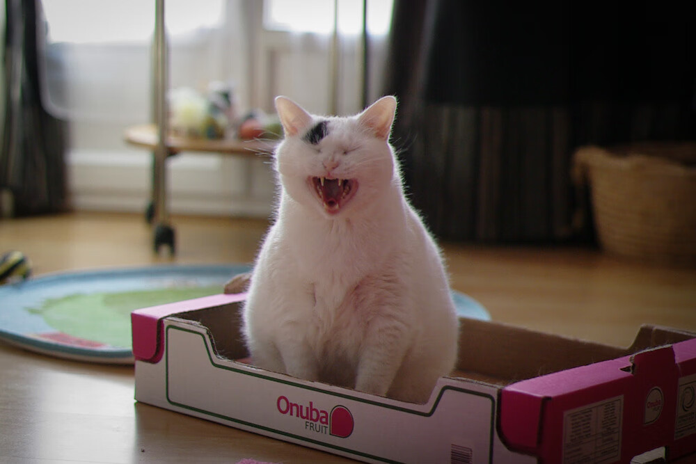 “英超决战临近,豪门比赛逐渐升温”,英超落寞豪门