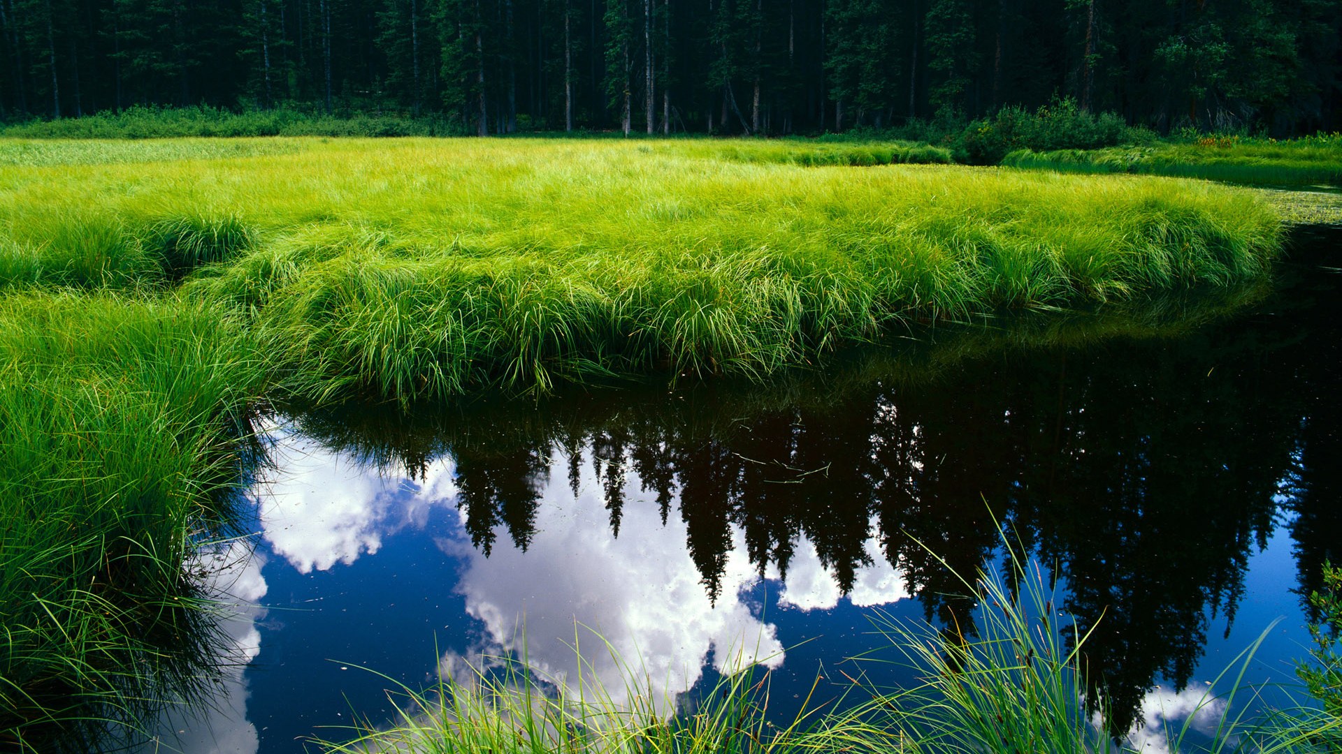 中国足球国家队战术调整,备战亚洲杯,中国足球方案