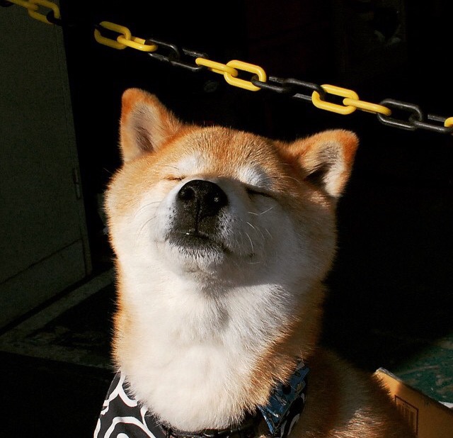 爱游戏娱乐网址-全国滑板锦标赛，人气运动新星崭露头角，全国滑板锦标赛2020在哪看