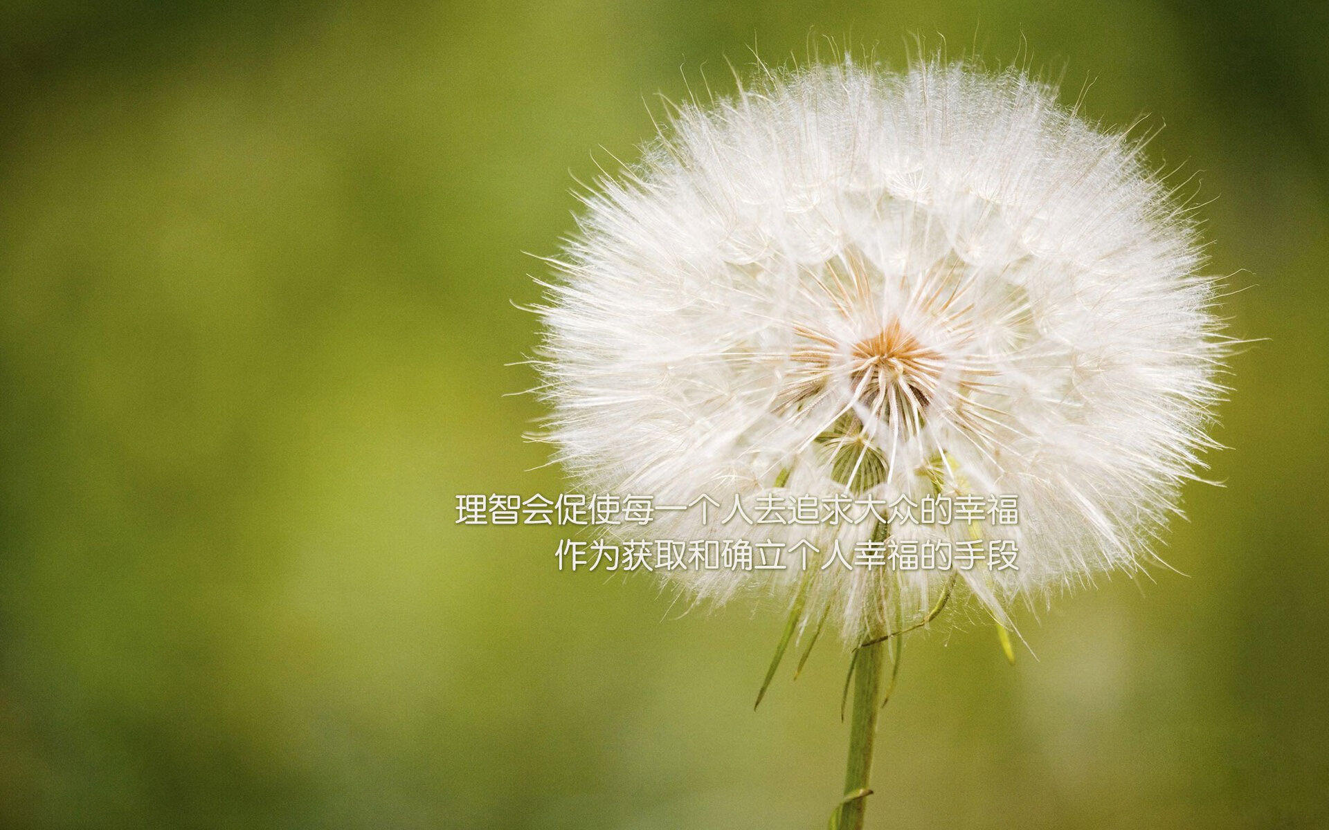 史诗之战:NBA最经典的对阵回顾,nba最新对战