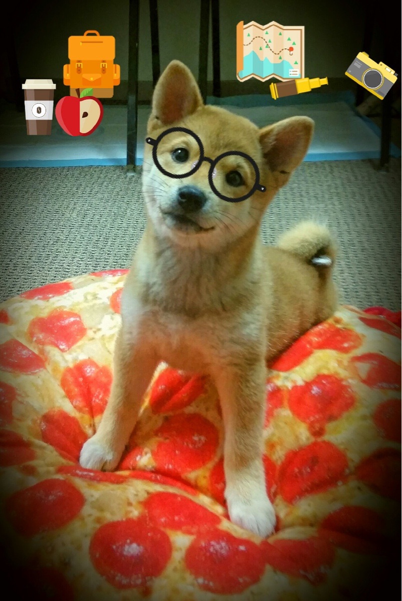 爱游戏体育app-国际泳联赛：卫冕冠军再现神勇，国际泳联比赛规则