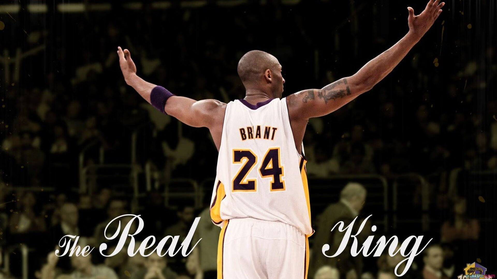 数字化管理助力中国篮球赛事高效运营,数字篮球馆