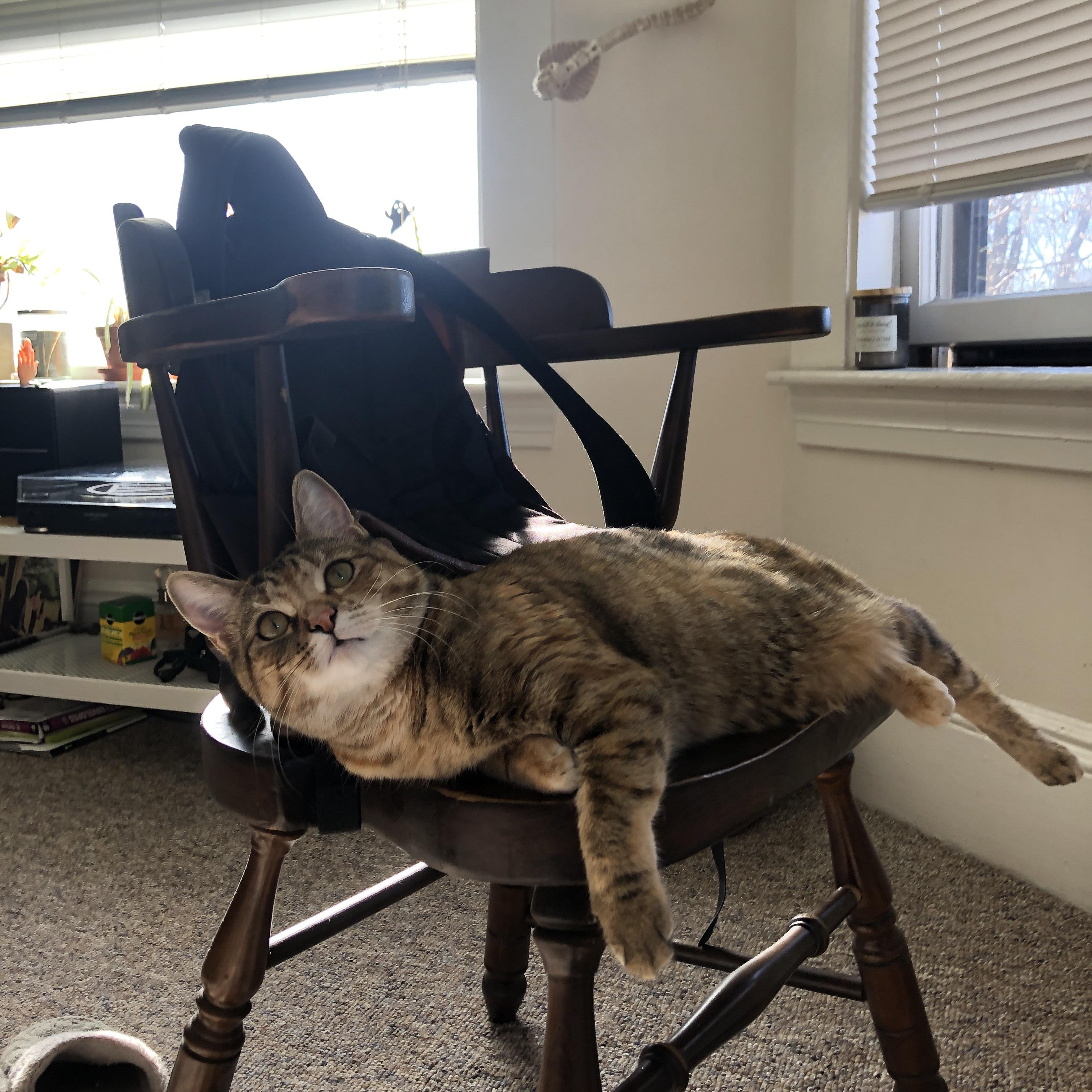 爱游戏体育app-特色篮球主题市集成为城市文化节的重要亮点，篮球文化艺术节