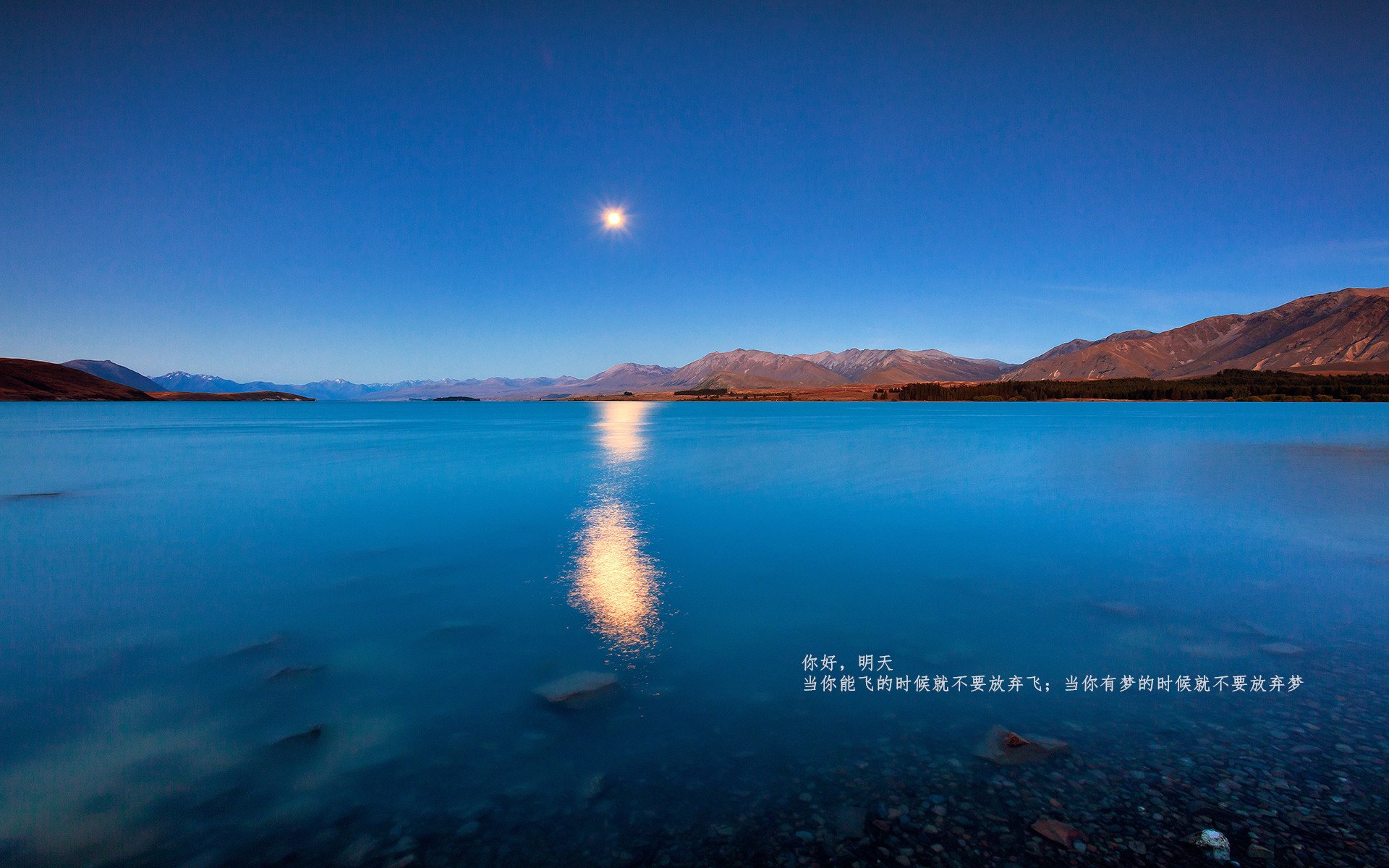 球迷追忆:那些难忘的欧冠“狂欢夜”