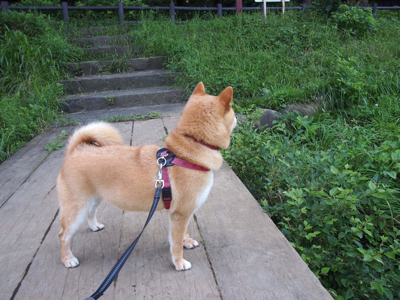 AYX体育-虚拟现实电竞兴起，沉浸式体验带来新机遇，虚拟现实游戏体验