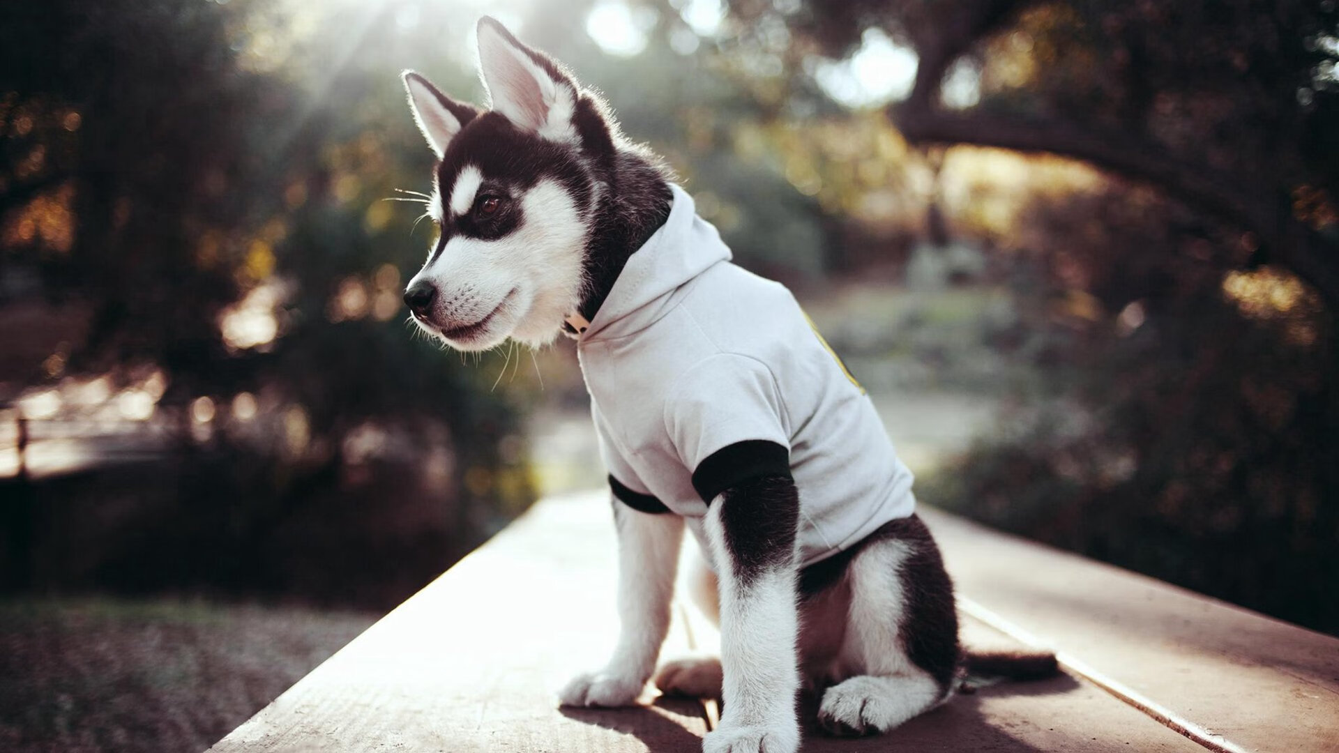 西甲焦点:皇马在补时绝杀巴萨,争冠形势发生微调,西甲第七轮皇马vs巴萨