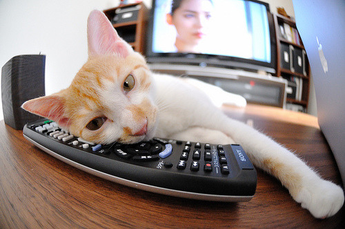 爱游戏官方-青少年足球明星萌芽初露，俱乐部纷纷争相签约挖掘资源，青少年足球品牌排行榜