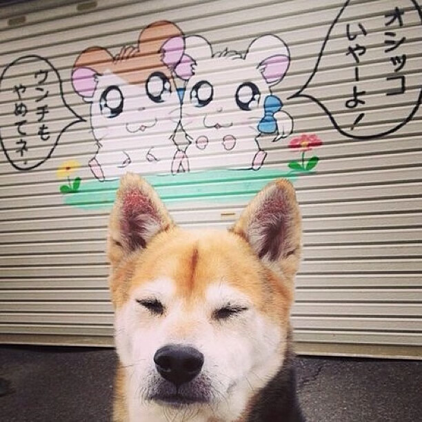 爱游戏官网-RNG锁定季后赛席位，rng锁定世界赛