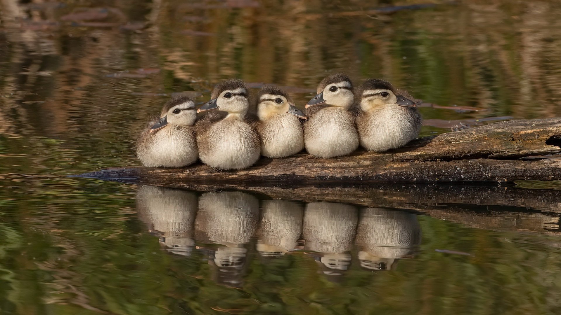 爱游戏电竞官网-中国U23男足晋级四强，亚运会上爆冷淘汰韩国队，u23男足参加奥运会什么时候开始