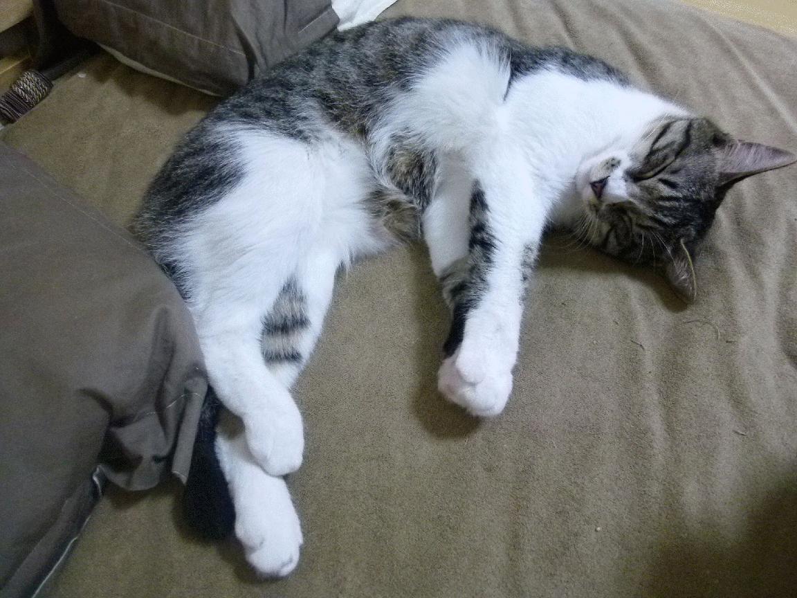 爱游戏体育app-中超裁判执法专业化进程加快，中超裁判是什么级别