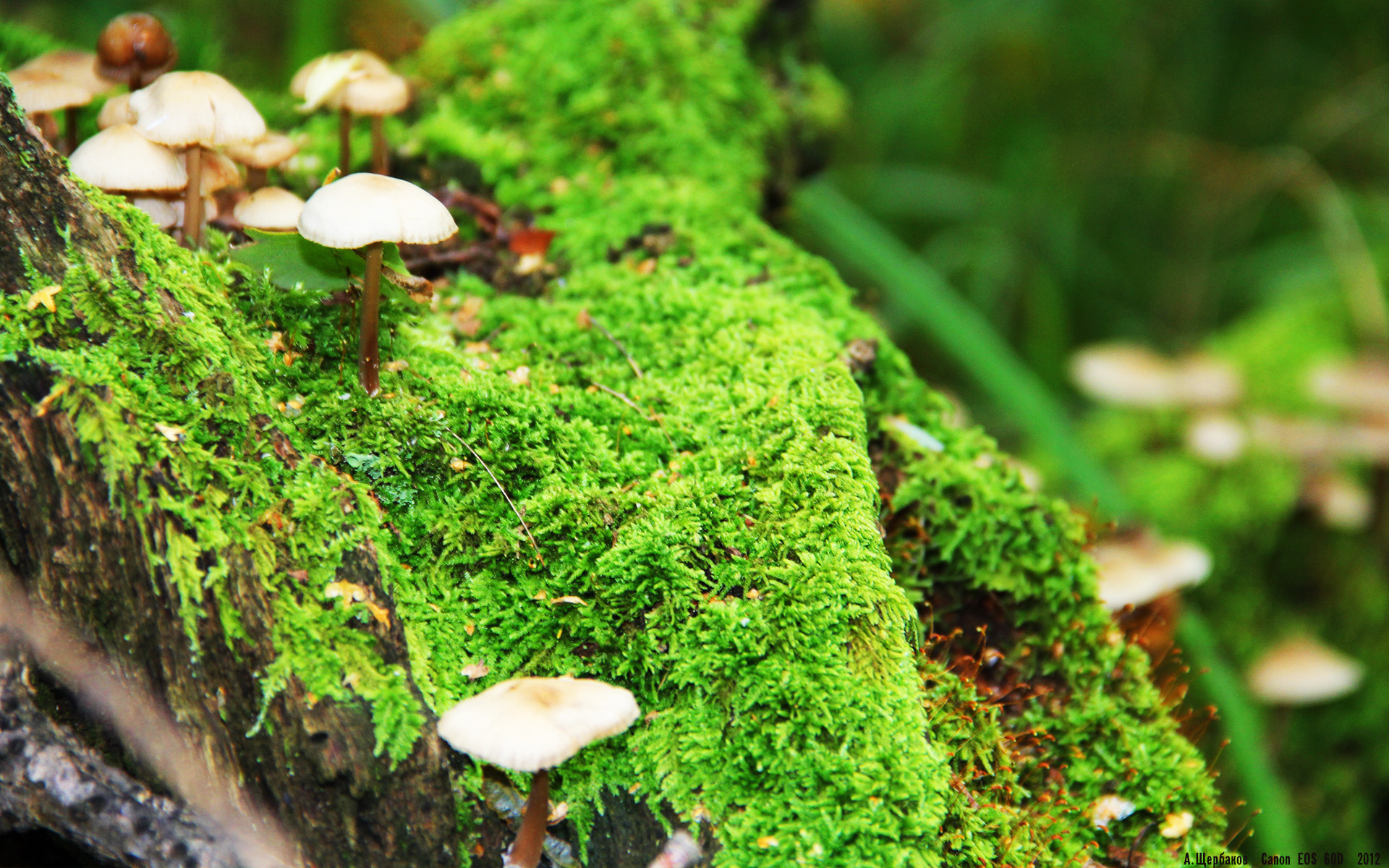 爱游戏综合娱乐-中超新赛季赛程发布，比赛更加紧凑，中超新赛季开赛时间