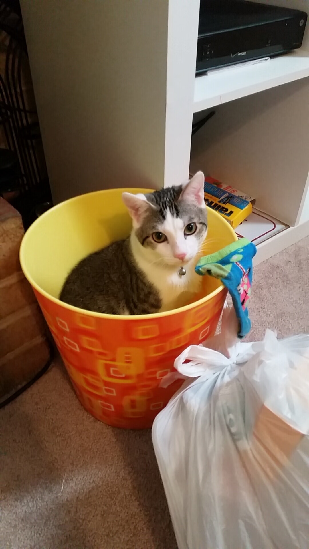 匈牙利队在欧预赛中发挥稳定,力争晋级,匈牙利队欧洲杯大名单