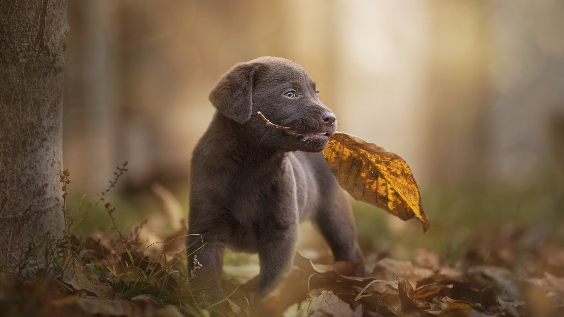 爱游戏娱乐平台-原州东浦新世代攻防转换效率提高，原州东浦新世代vs高阳猎户座