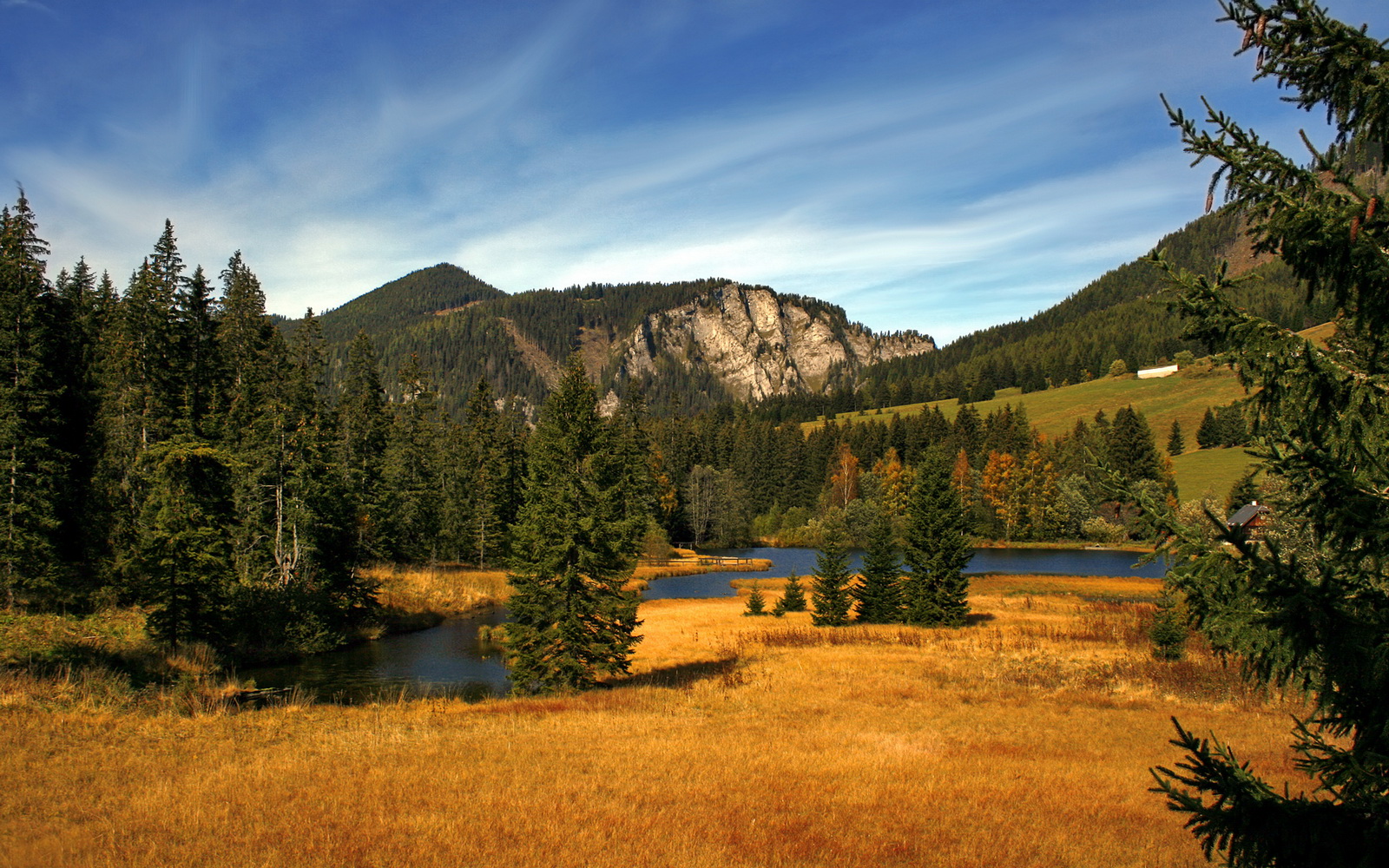 爱游戏app-哈兰德再度破门建功，助球队取得胜利，哈兰德伤停情况