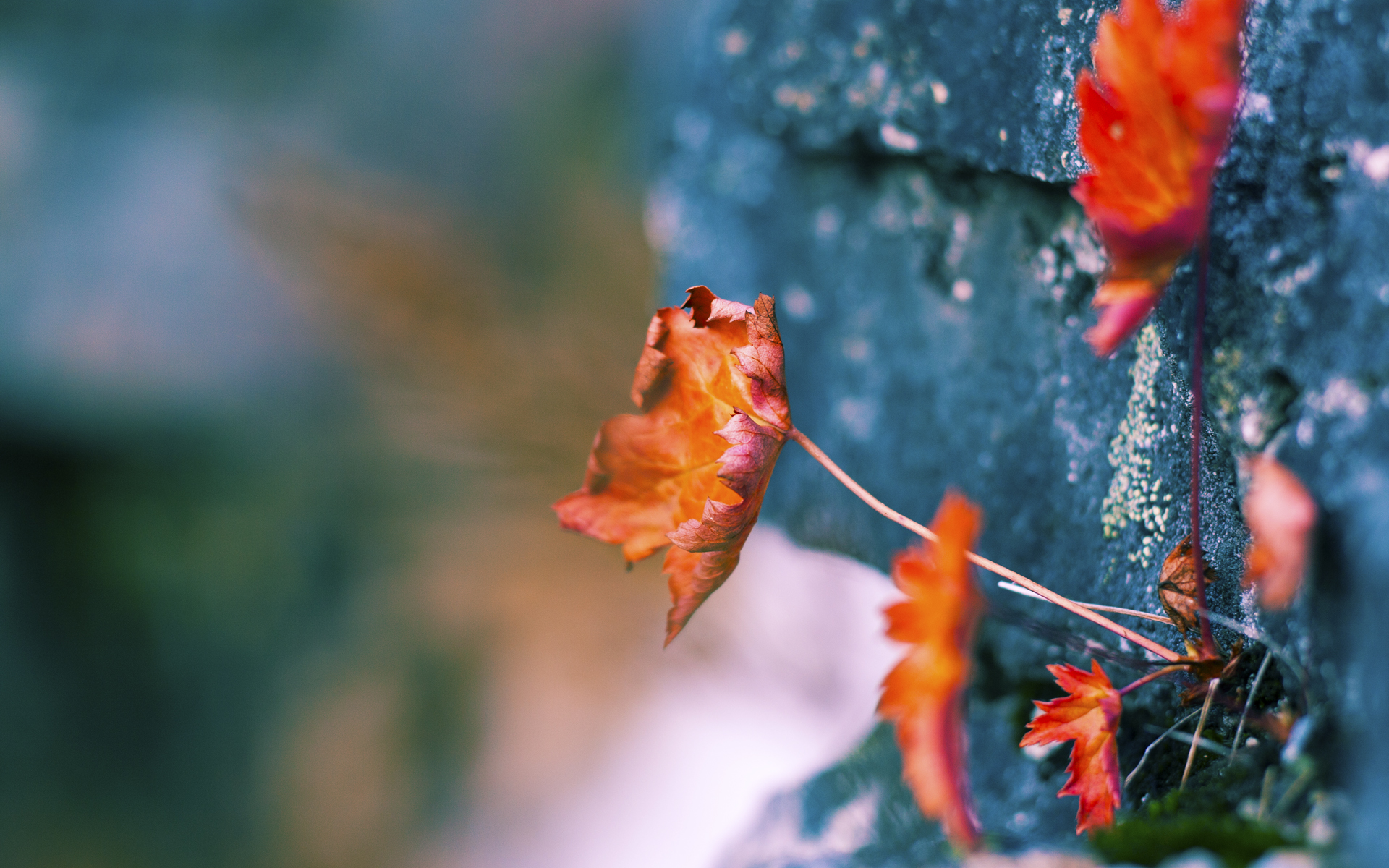 爱游戏电竞官网-女足比赛球队实力强劲，备战目标直指胜利，女足安排