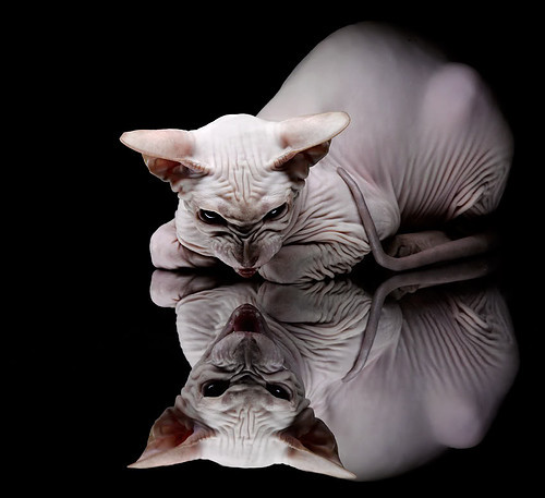 爱游戏官网-山东男篮惊险获胜，晋级夺冠，山东男篮2020一2021