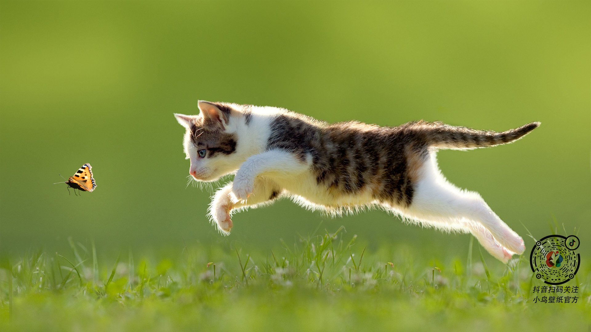 扎马莱克与阿尔萨德达成球员交换协议,扎拉马克