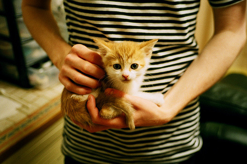 爱游戏体育平台-德甲球队动态负荷管理系统对赛季疲劳曲线预测的实证评估，全年动态负荷