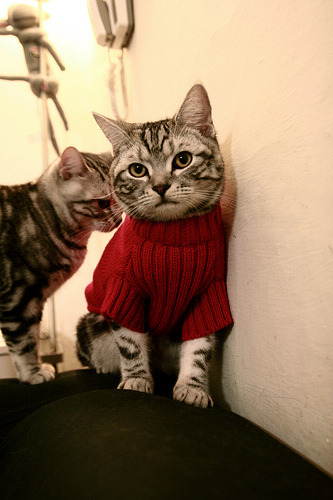 AYX体育-竞彩分析：专家预估本周焦点赛事，竞彩足球彩票 专家预测