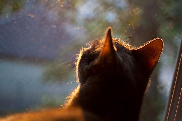 AYX体育官网-赛季交锋：超级对决中的历史性时刻，超级对战吧