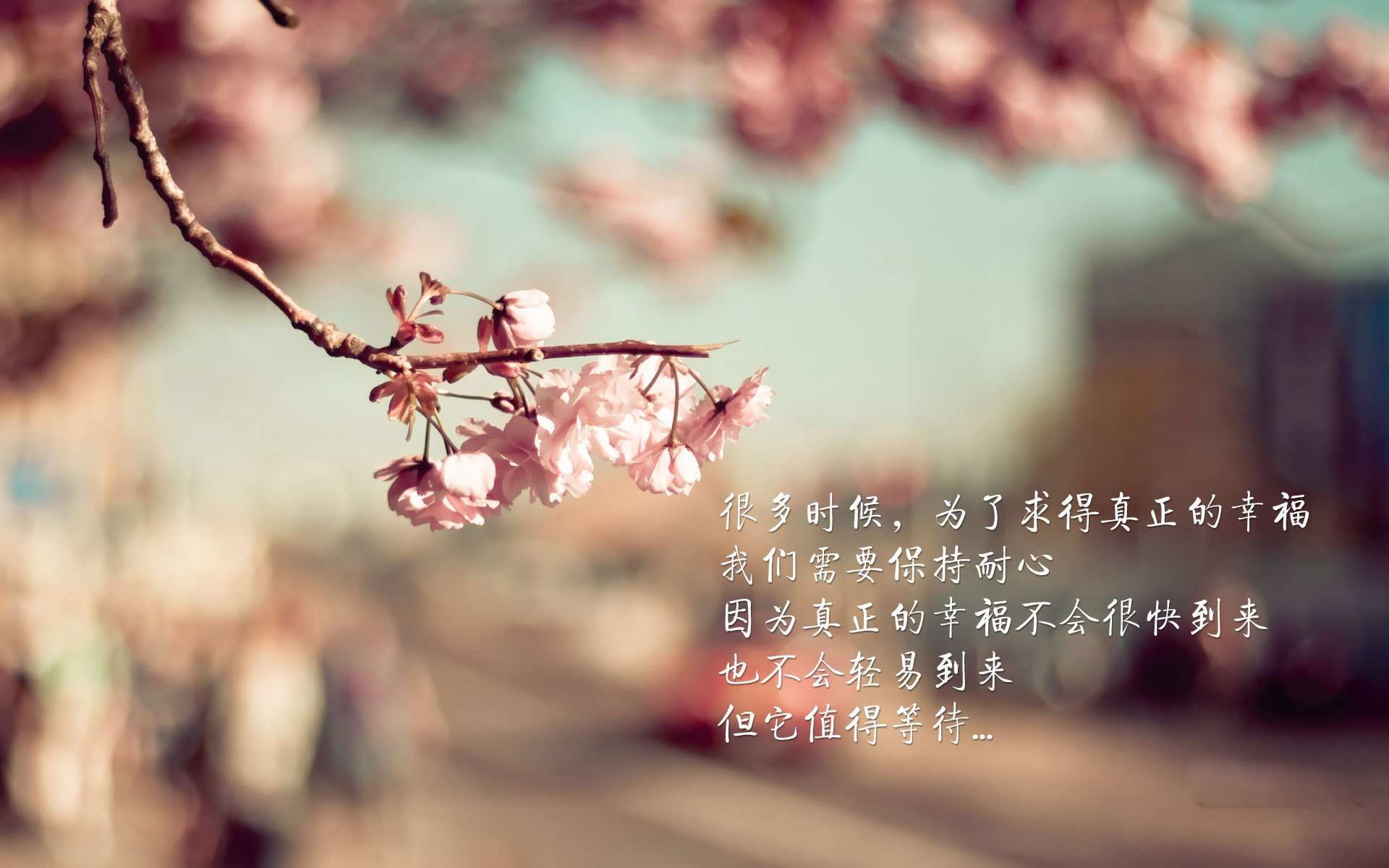 爱游戏体育APP下载-中国女篮完善阵容结构 多点得分格局初成，中国女篮队队员名单照片