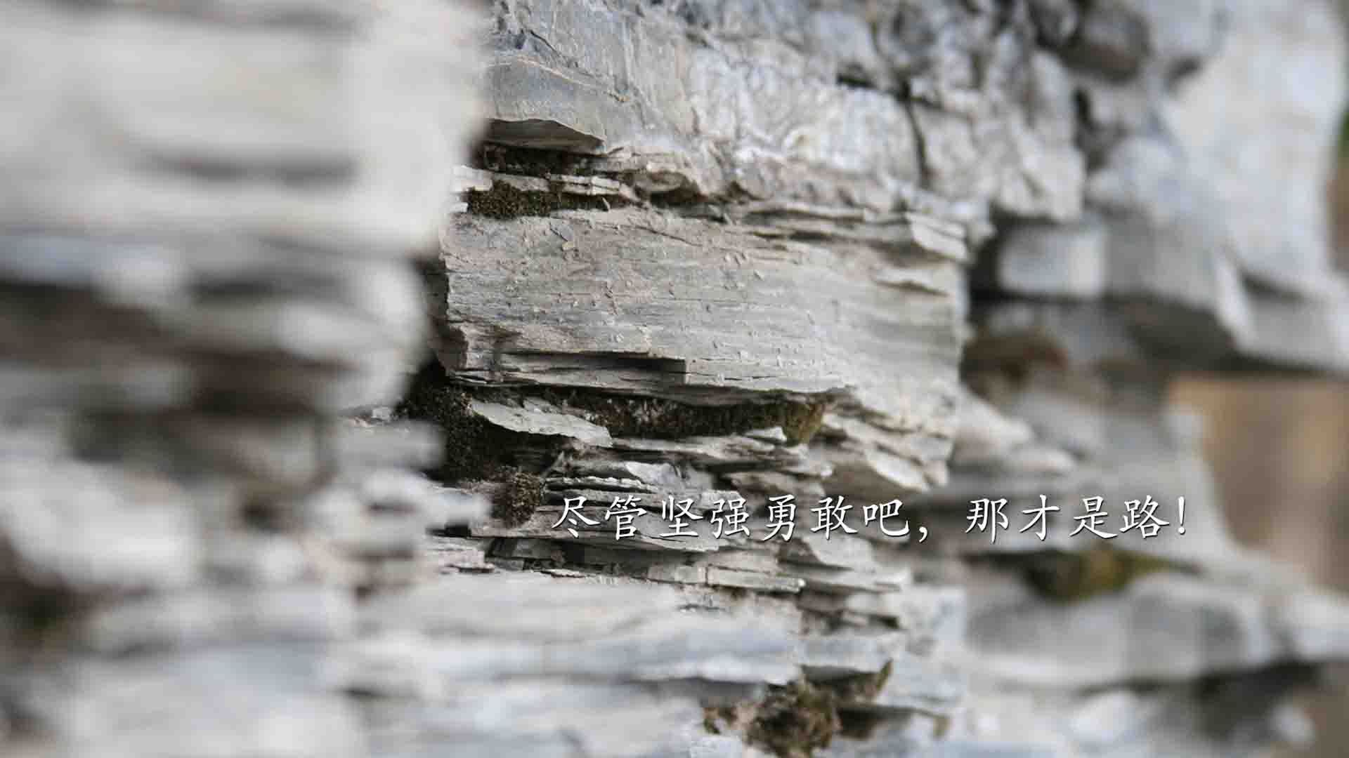 爱游戏 电竞-乒乓球技巧解析：Chinese Taipei团队的战略布局