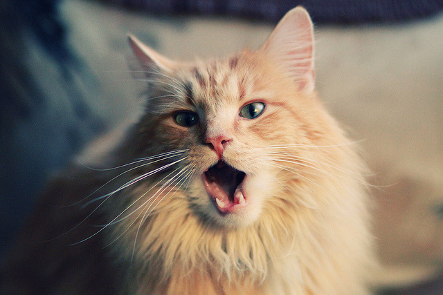 世界杯最后一分钟的绝杀瞬间,世界杯决赛最后一球