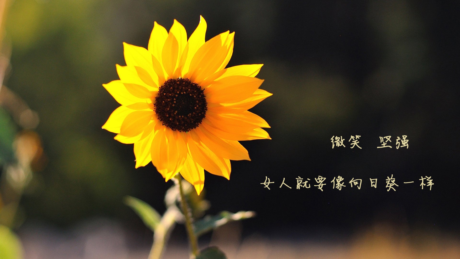 爱游戏娱乐平台-中超联赛强化中后场防守提升整体比赛控制力，中超防守反击球队