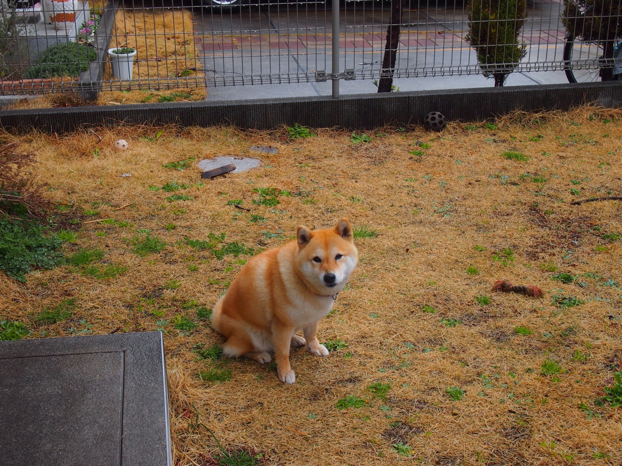 爱游戏登录入口-法甲激烈争雄：球队攻守转换的精彩瞬间，法甲联赛冲突