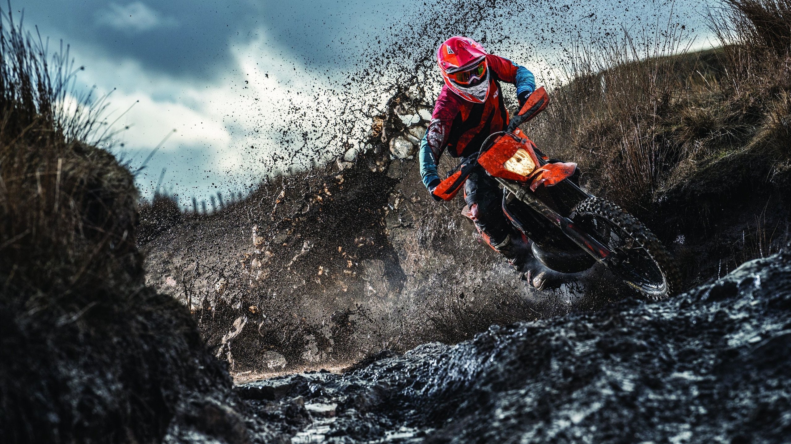 体测平台接入家庭终端便于亲子数据对比，体测易平台